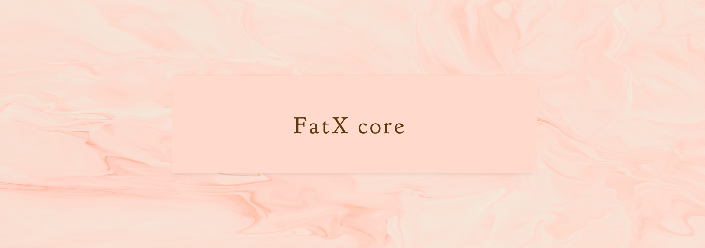 FatX coreの画像