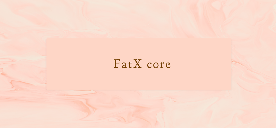 FatX coreの画像