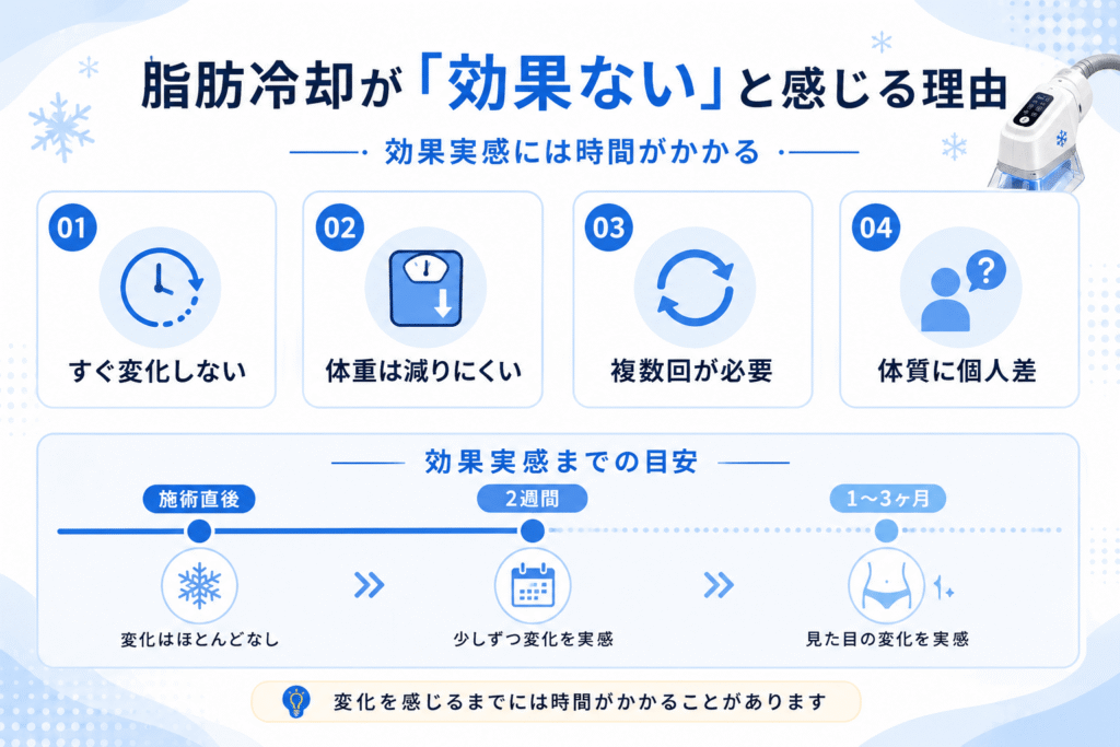 脂肪冷却は効果がないといわれる4つの理由